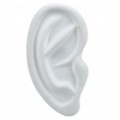 Criativo orelha em forma de Silicone caso protetor para iPhone 4/4S - branco