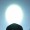 Imagem 6