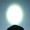 Imagem 7