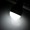 Imagem 4