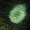 Imagem 10