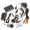 Imagem 9