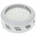 50W LED 50 hidropônico lâmpada planta crescer luz azul vermelho (AC 85 ~ 265V)