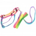 Colorido ajustável Strap Dog Leash (tamanho-S/110 cm-comprimento)