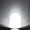 Imagem 7
