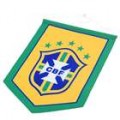 Internacional país pequeno Bunting bandeira com Sucker (Brasil)