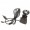 Imagem 5