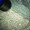 Imagem 8