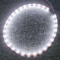 Impermeável 1 metro 30-LED 4.5W luz faixa - branca (DC 12V)