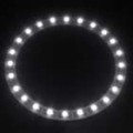 T10 24-LED branco luz Car Angel Eye (90 mm de diâmetro)